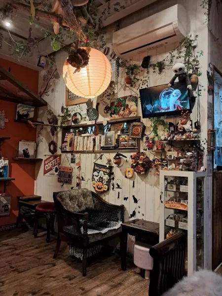 Cat Picture Book & Cafe Nyaon