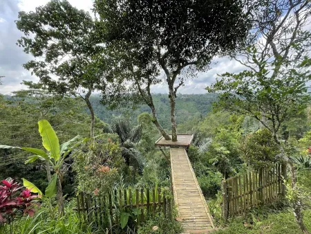 Bali Jhon Swing