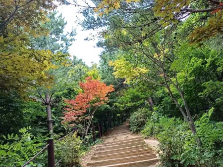Cheongdaesan