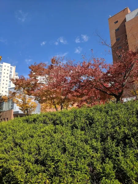Kyungsung University Student Cafeteria