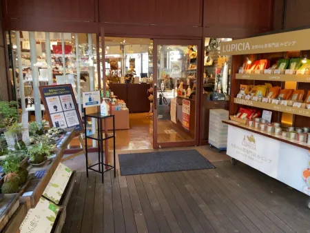 Jinbocho Ichinoichi Jinbochoten