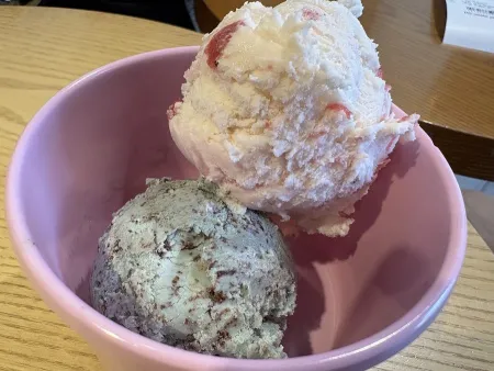 Baskin-Robbins