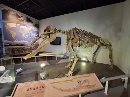 Miryang Museum