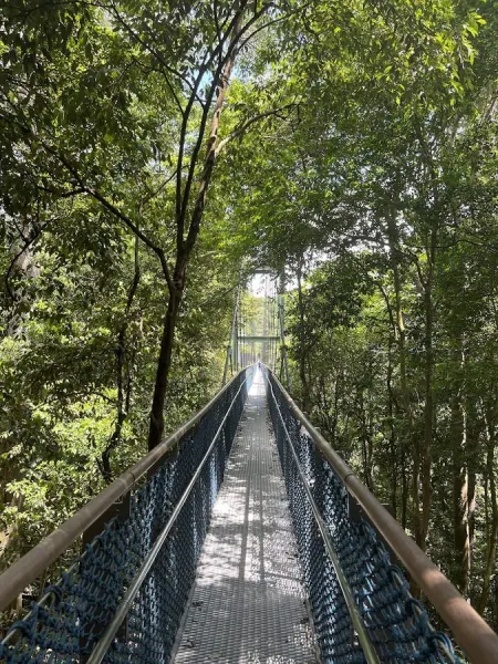 MacRitchie Nature Trail