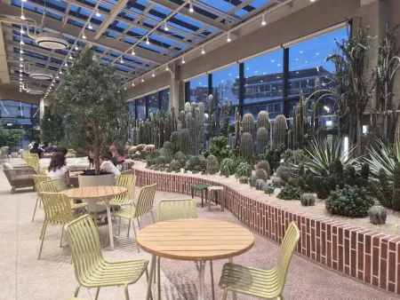 cafe cactus