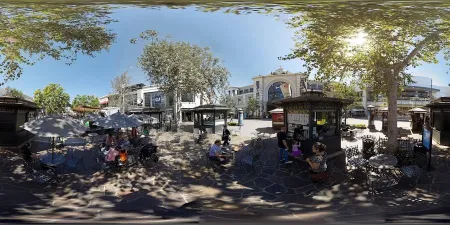 The Grove