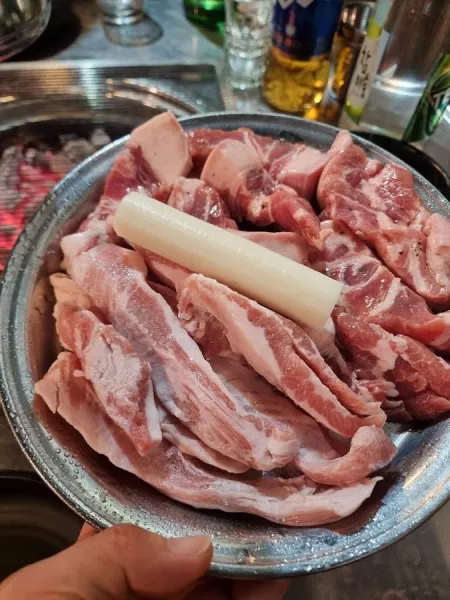 Donpu Dae Dwitgogi