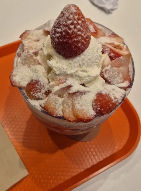 대설