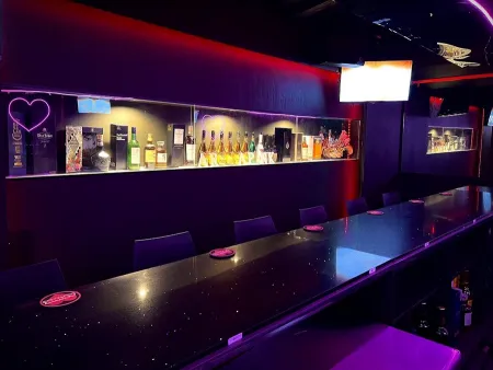 K-pop karaoke bar APINK