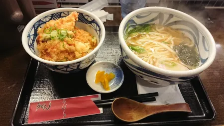 Udon Noodle UBARA