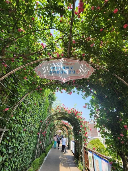 Seoul Rose Festival