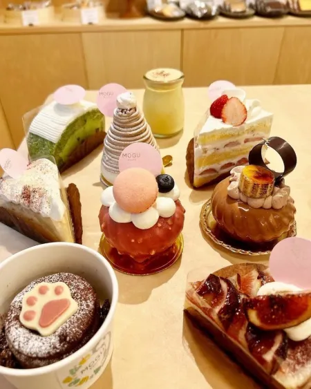MOGU kyoto