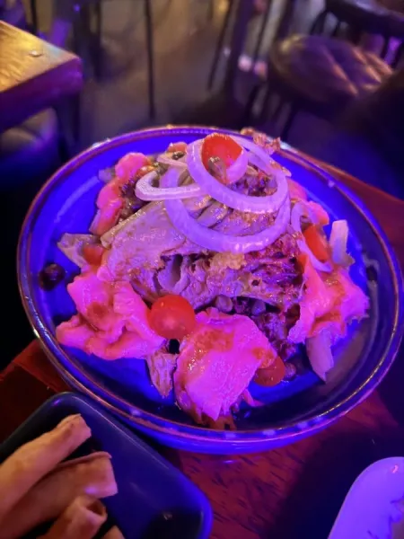 TERRA SOCIALCLUB