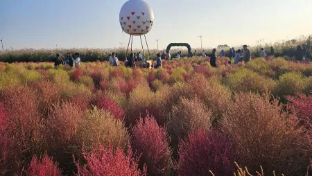 ハヌル公園入口