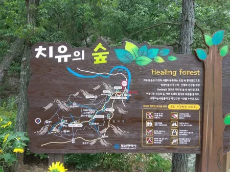 Busan Healing Forest