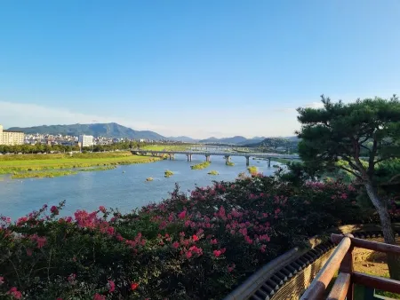 금장대