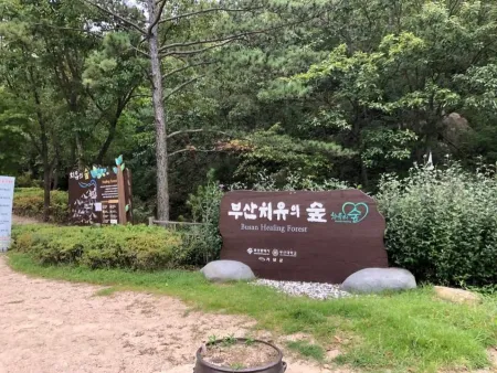 Busan Healing Forest