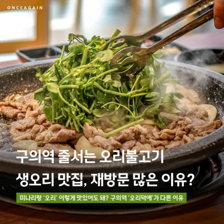 오리덕애