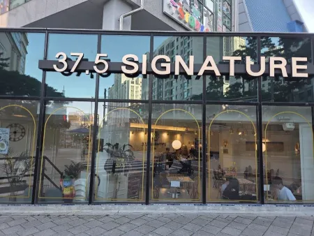 37.5 Signature Mia Branch