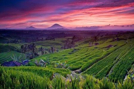 Bhuana Agung Restaurant