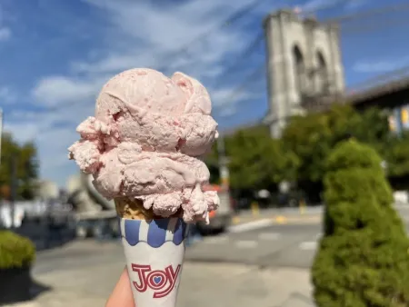 Brooklyn Ice Cream Factory