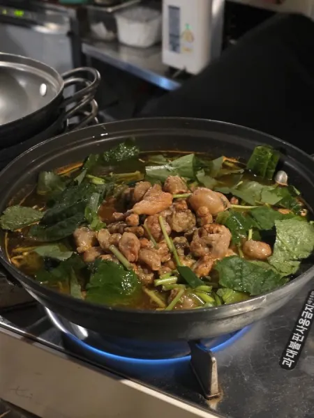 실비바 파도