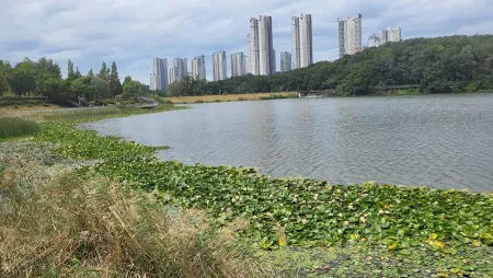 Gwanggyo Lake Park Sindae Lake