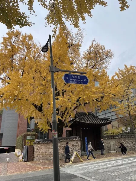 정동길