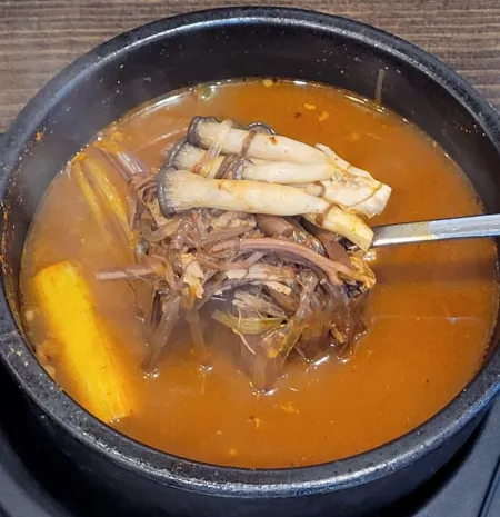 능동국시