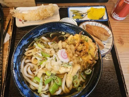 Hikari Udon