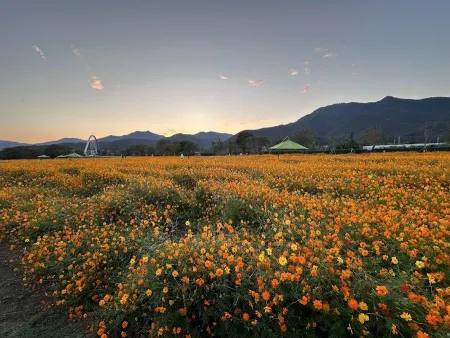 Namyangju Owol Mului Jeongwon
