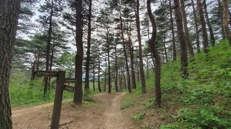 Monogol Sanrimyokjang