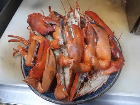 조개가달다