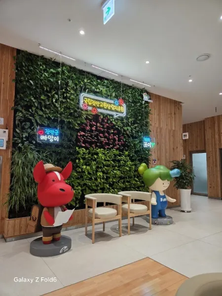 National Jinan Highland Forest Healing Center