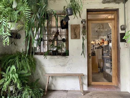 bog tea house buubu