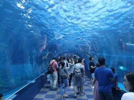 Jangsaengpo Whale Museum