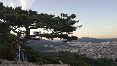 三聖庵展望岩