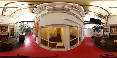 Design Festa Cafe & Bar|原宿のおすすめカフェ・人気コラボイベント・有名アートカフェ・デート・女子会・ペット可