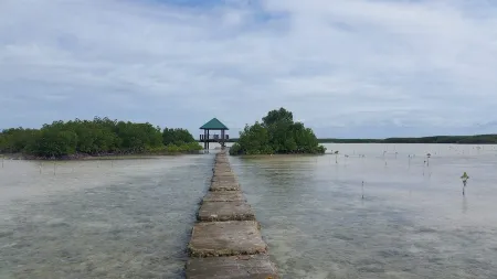 Olango Island Wildlife Sanctuary Nature Center