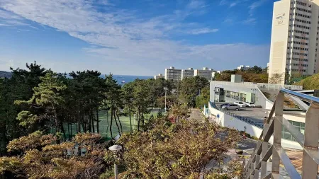 Yeongdo Library