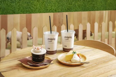 mipig cafe Meguro