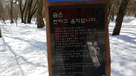 Saryeoni Forest Path