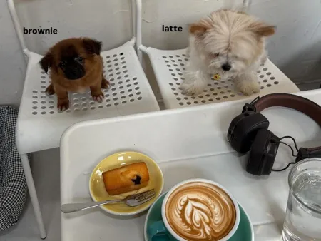 D Coffee