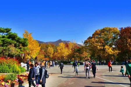 서울대공원