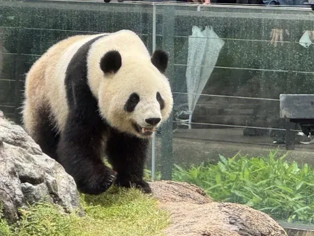 上野恩賜動物園