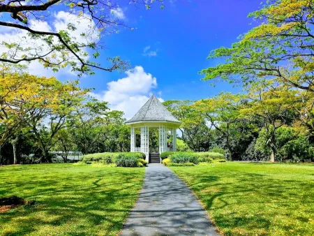 Evolution Garden