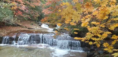 Bangtaesan