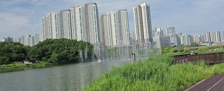 Dongtan Lake Park