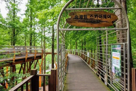 長泰山自然休養林