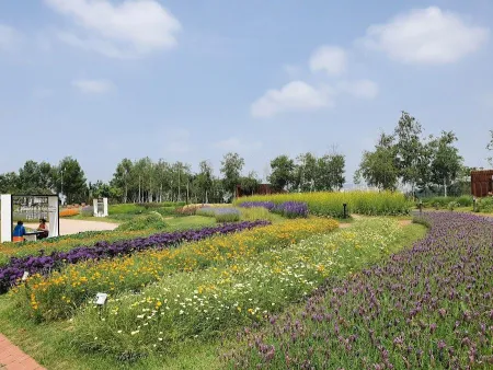 Herb & Astronomy Park